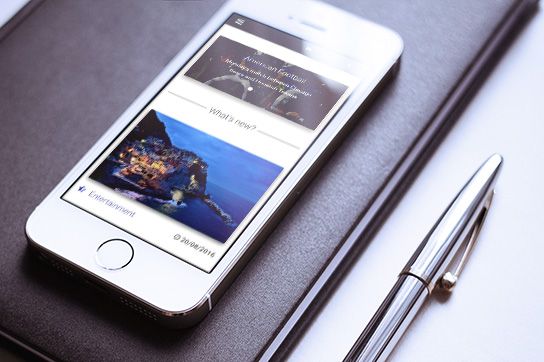 MDB website displayed on iPhone