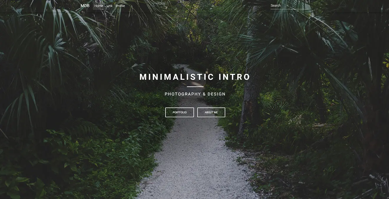 Display of minimalist intro page